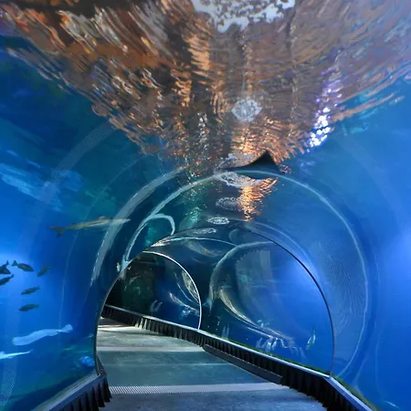 Daire Soho - Old Town Wroclaw