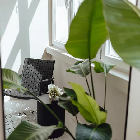 Soho - Old Town * Wrocław